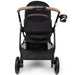 BOSS 2-in-1 foldaway buggy